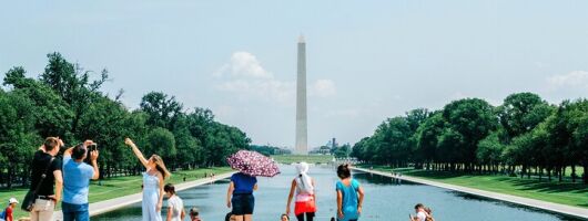 Morning Cherry Blossom Bus Tour with Washington Monument Ticket