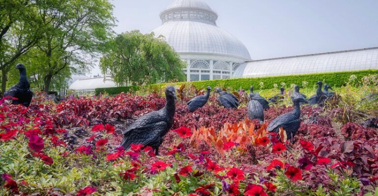 New York Botanical Garden Wonderland Experience