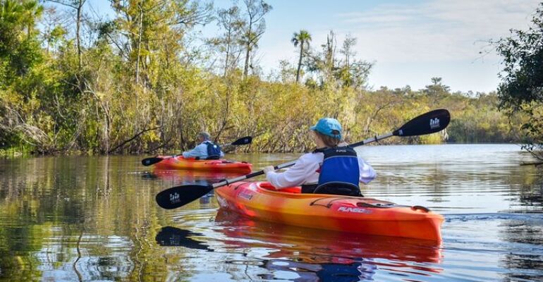 Everglades City Kayaking Adventure Tour