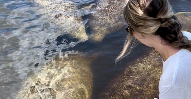 Naples Everglades Wildlife Eco Boat Adventure