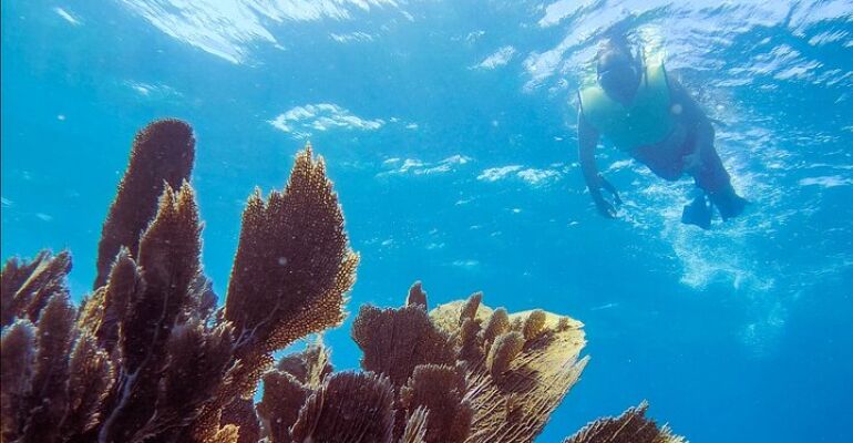 Key Largo Snorkel and Dive Combo Experience