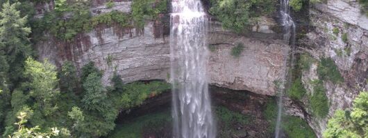 Nashville to Fall Creek Falls All-Inclusive Full Day Excursion