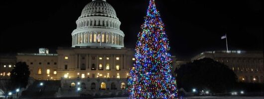 Holiday Lights Tour of Washington DC and Old Town Alexandria
