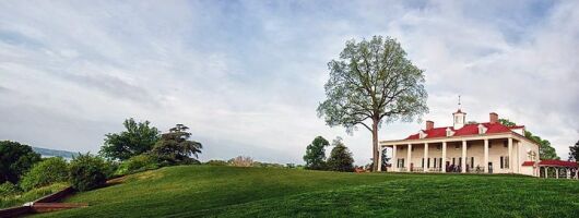 Old Town, Alexandria and Mount Vernon Private Tour