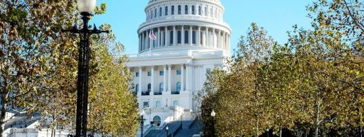 VIP Best of DC with US Capitol + National Archives Reserved Entry
