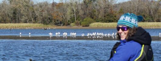 Sandhill Crane Kayak Tour with Chattanooga Guided Adventures