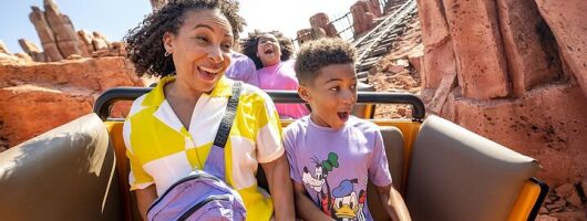 SPECIAL OFFER: 3-Day 3-Park Ticket at Walt Disney World Resort