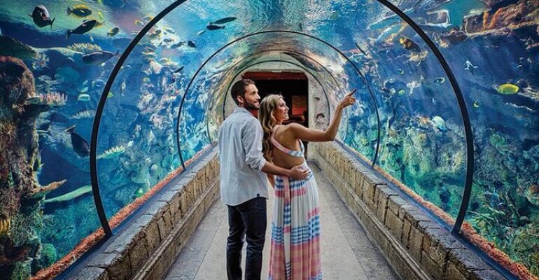 Las Vegas Shark Reef Aquarium Experience