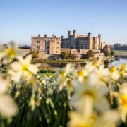 Leeds Castle and Canterbury - Day Tour from Brighton
