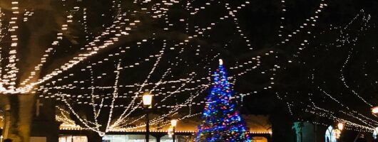 St. Augustine Nights of Lights Celebration from Orlando