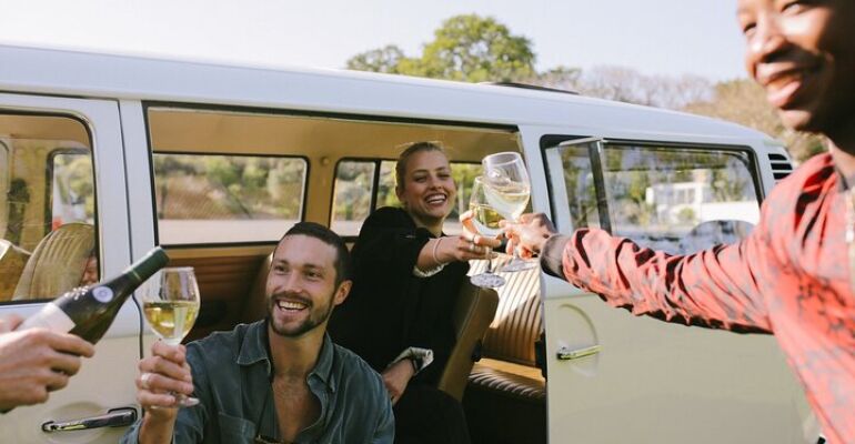 Constantia Wine Tasting and Braai Experience