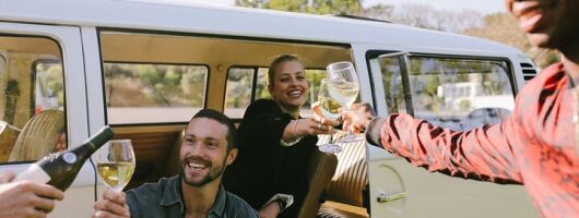 Traditional Wine & Braai (BBQ) Experience
