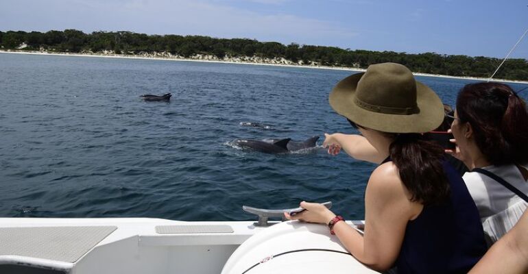 Jervis Bay Dolphin Sightseeing Boat Cruise