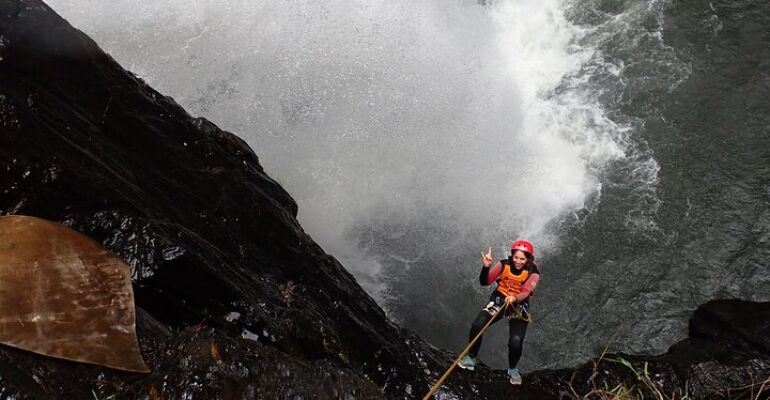 Daintree Rainforest Full-Day Adventure Tour