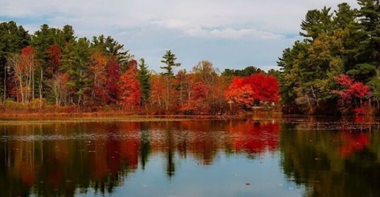 Lake Leelanau Fall Foliage Boat Cruise