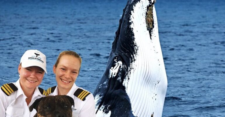 Surfers Paradise Whale Watch Experience