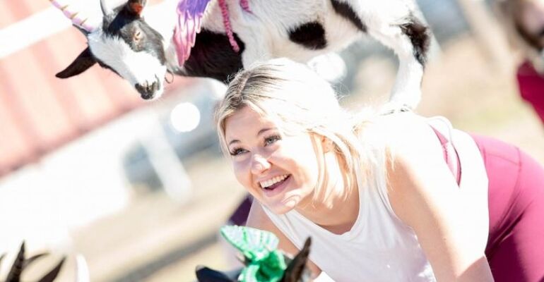 Arizona Goat Yoga and Alpaca Experience