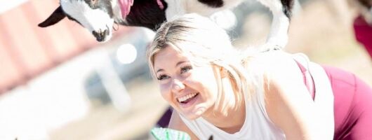 Goat and Alpaca Yoga in Arizona
