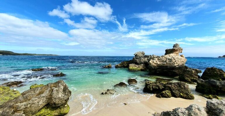 Margaret River Premium Full Day Wine Tour