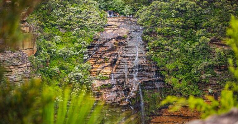 Sydney Blue Mountains Private Rainforest Adventure Tour