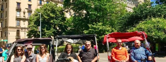 Central Park Private Pedicab Tour for 1 Hour
