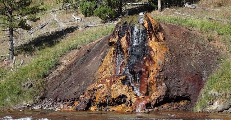 Wyoming Kid-Friendly Yellowstone Nature Tour