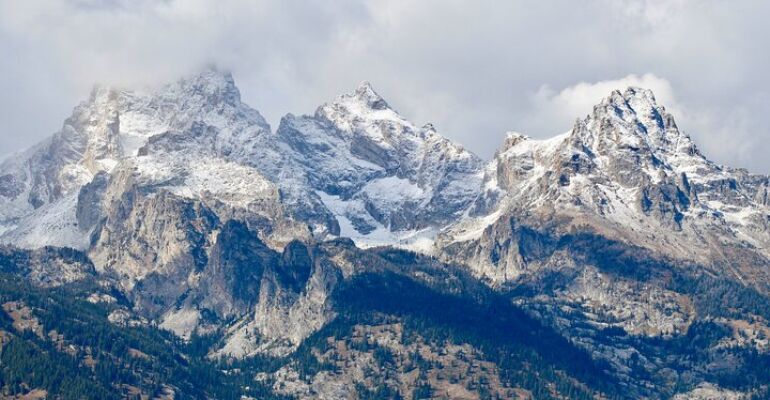 Jackson Hole Grand Teton Wildlife Tour