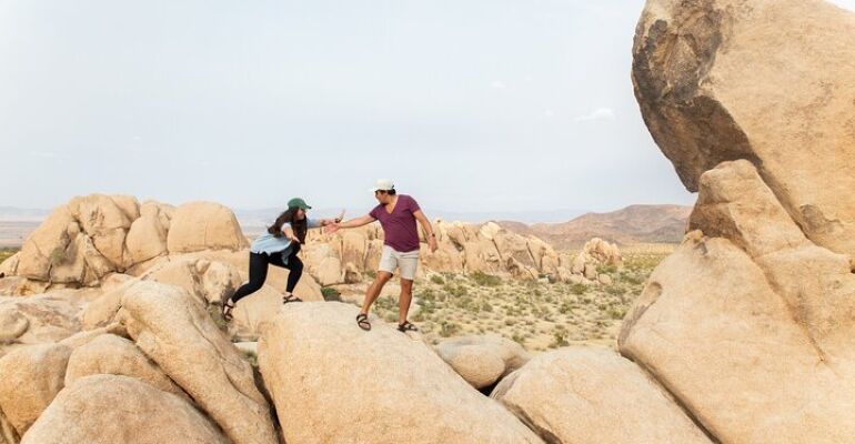 Joshua Tree National Park Naturalist Guided Tour