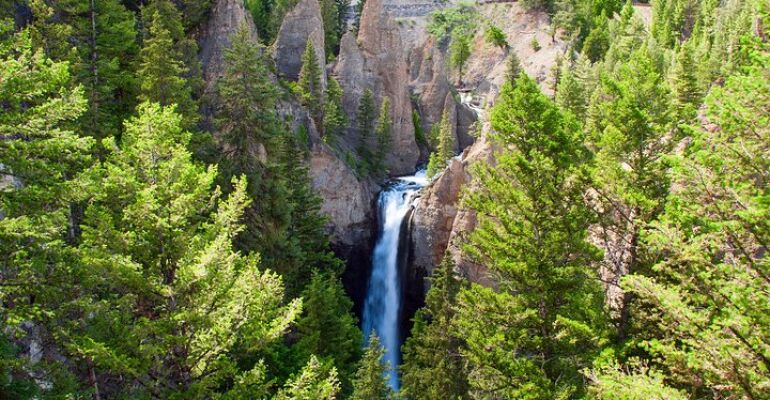 Wyoming Yellowstone National Park Nature Tour