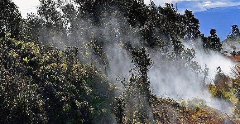 Hawaii Volcanoes National Park Guided Tour