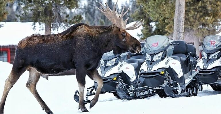 Turpin Meadow Snowmobile Adventure Tour