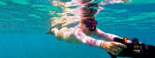Jet Snorkel With Sea Turtles, Videos Incl.
