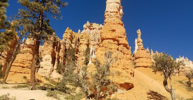 Utah Scenic Tour of Zion and Bryce