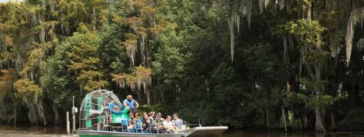 New Orleans Airboat Ride
