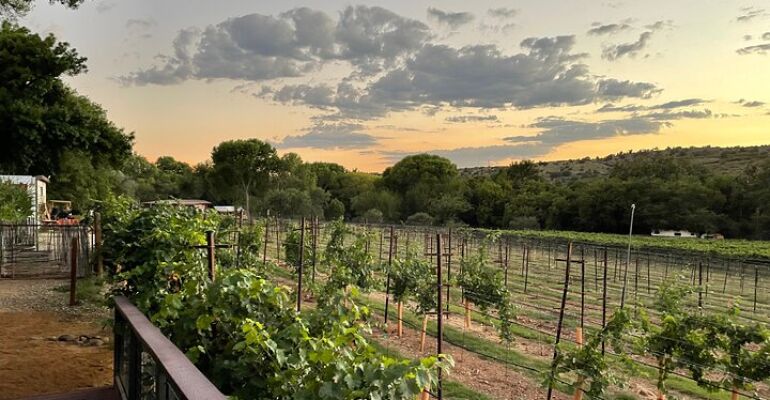Arizona All-Inclusive Winery Tour Experience