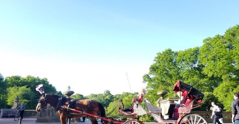 New York Central Park Horse Carriage Tour