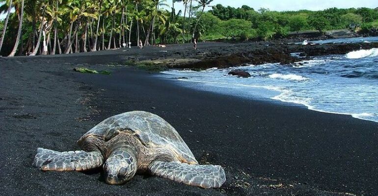 Hawaii Customized Private Sightseeing Tour