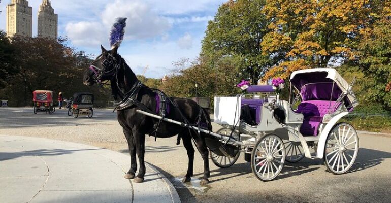 New York Central Park Horse Carriage Tour