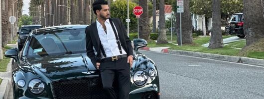 Beverly Hills private tour in a Bentley