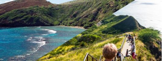 Oahu's Half-Day Tour Package