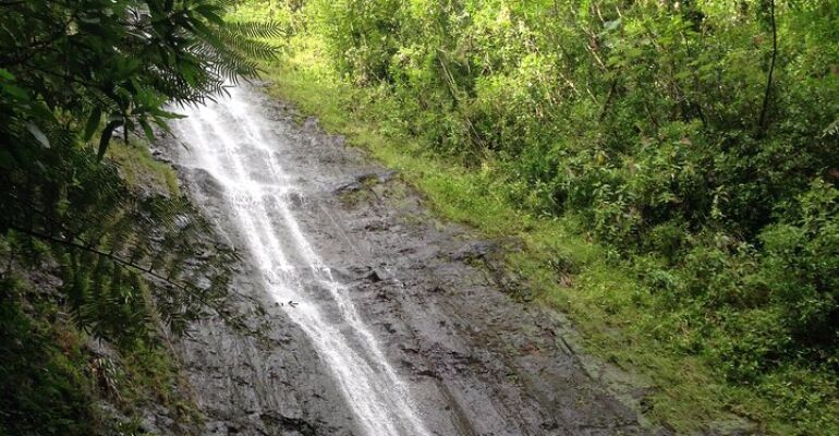 Honolulu Tropical Adventure: Manoa Falls and Hanauma Bay