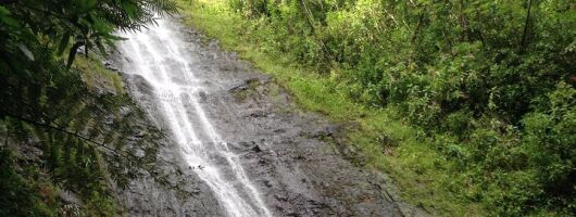Tropical Adventure Package