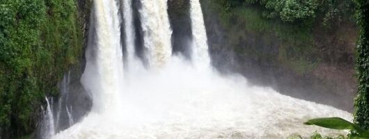 Hilo Highlights: Waterfall & Local Secrets on a Short Excursion
