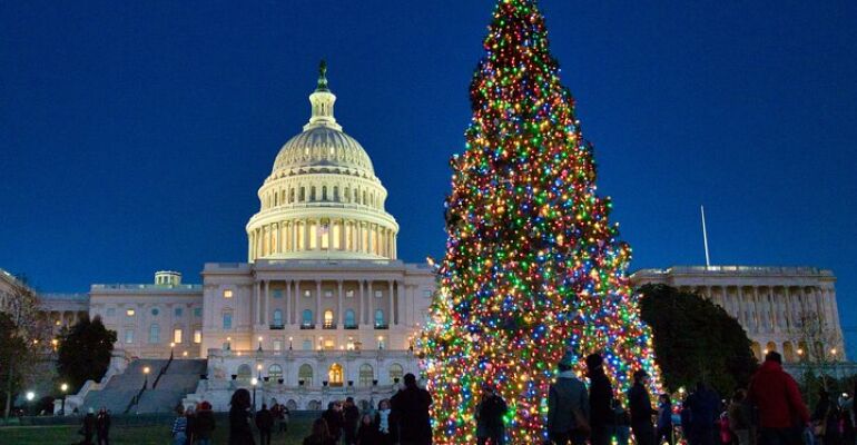 Washington DC Holiday Lights and Tree Tour