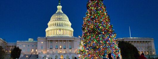 Holiday Lights Private Night Bus Tour of Washington DC 