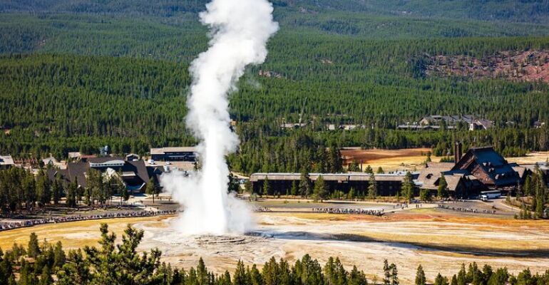 Yellowstone Scenic Day Tour and Wildlife Exploration