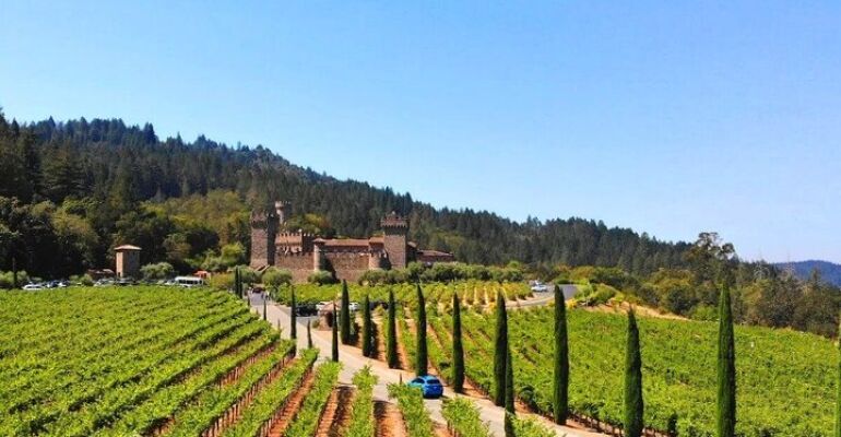 Napa Valley Private Custom Wine Tour