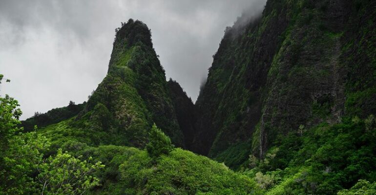 Kahului Upcountry Farms and Distillery Tour