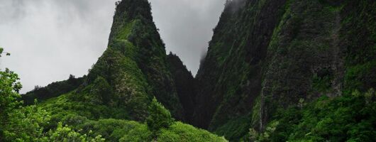 Private, Full-Day Iao Valley Upcountry VIP Farm Tour