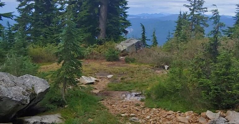 Mount Baker Hiking and Nature Adventure